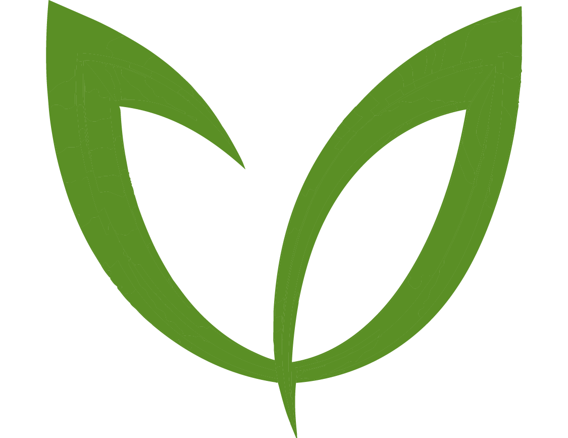 aslalenaya-logo